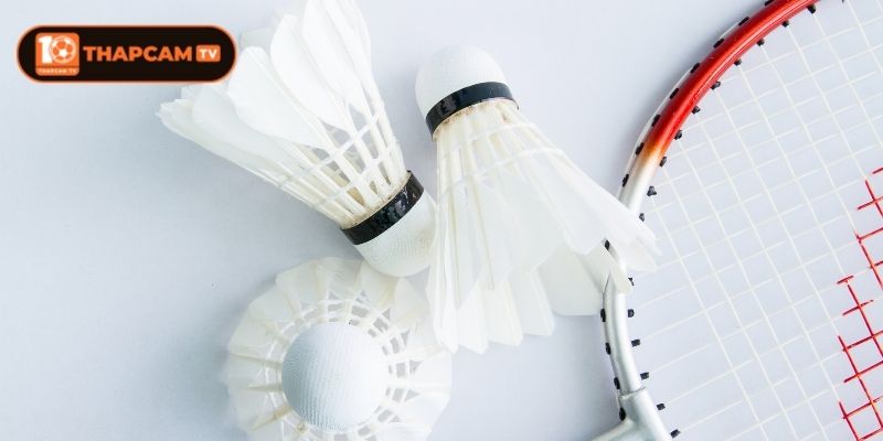 Kết Quả Cầu Lông Cập Nhật Nhanh Chuẩn Xác Từng Trận 2 Ưu điểm vượt trội của hệ thống tại Thapcam